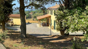 Villa La Cava Riparbella